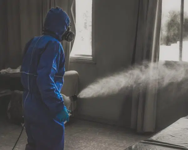 Fogging Treatments